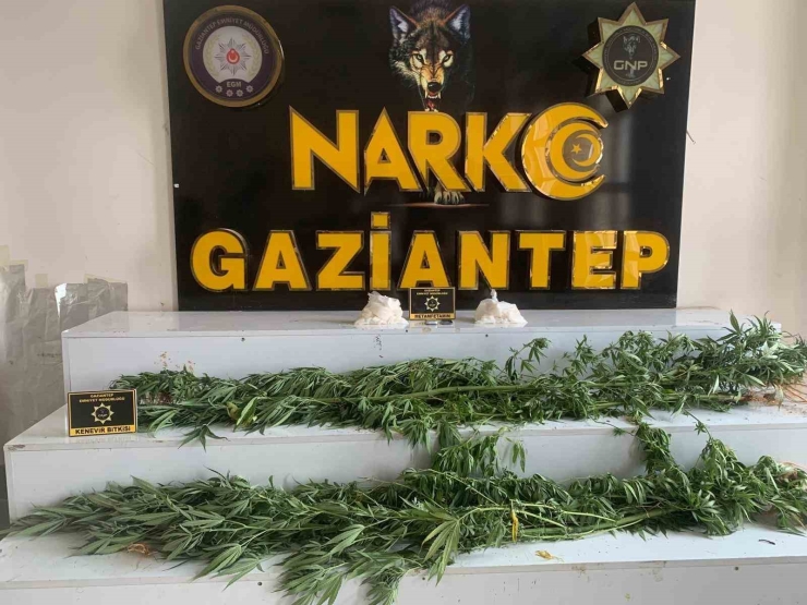 Gaziantep’te Uyuşturucu Operasyonları: 183 Tutuklama