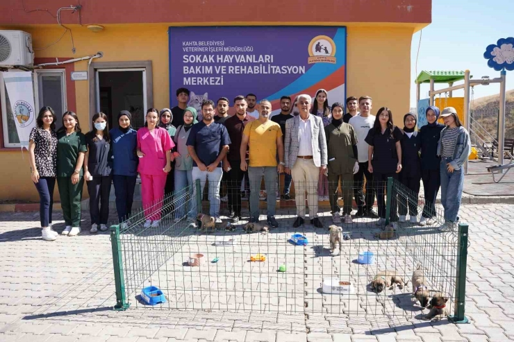 Kahta Belediyesi’nden Hayvanları Koruma Günü’nde Anlamlı Etkinlik