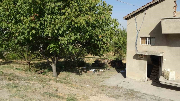 Malatya’da Kayısı Bahçesinde Obruk Oluştu