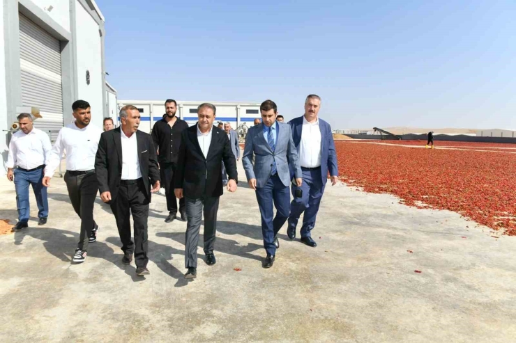 Şanlıurfa Valisi Hasan Şıldak Gıda Osb’de İncelemelerde Bulundu