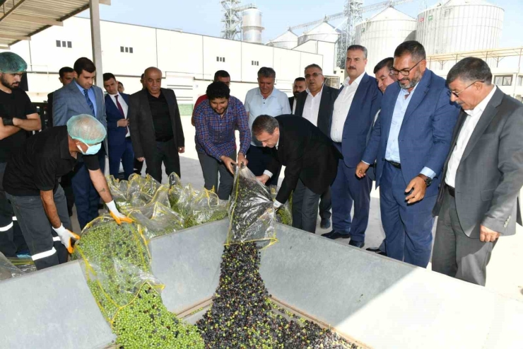 Şanlıurfa Valisi Hasan Şıldak Gıda Osb’de İncelemelerde Bulundu