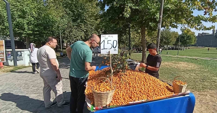 Faydaları Saymakla Bitmiyor: Alıç Meyvesi Tezgahlardaki Yerini Aldı