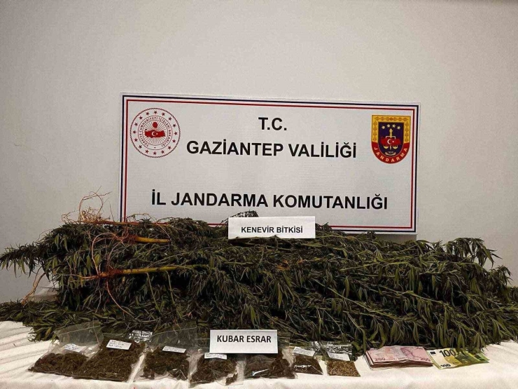 Gaziantep’te Uyuşturucu Ve Kaçakçılık Operasyonlarında 6 Şahıs Tutuklandı