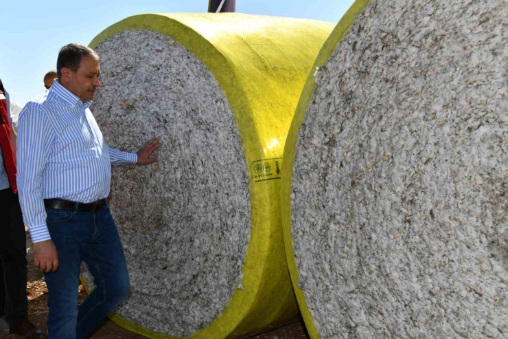 Şanlıurfa’da Pamuk Koruma Altında