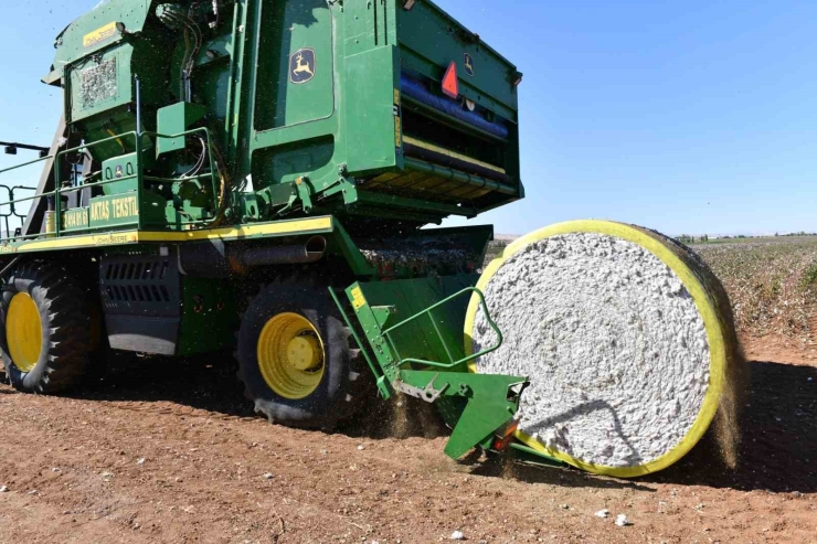 Şanlıurfa’da Pamuk Koruma Altında