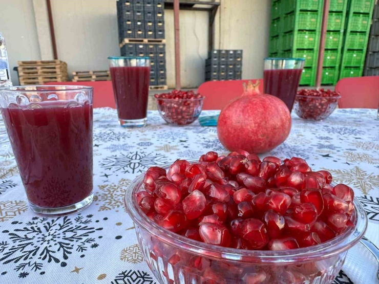 9 Ülkeye İhraç Edilen Narın Hasadı Başladı