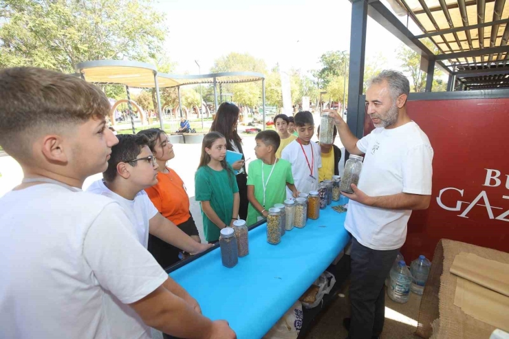 Gaziantep Büyükşehir Tohum Takas Ve Doğa Dostu Tarım Şenliği Başladı