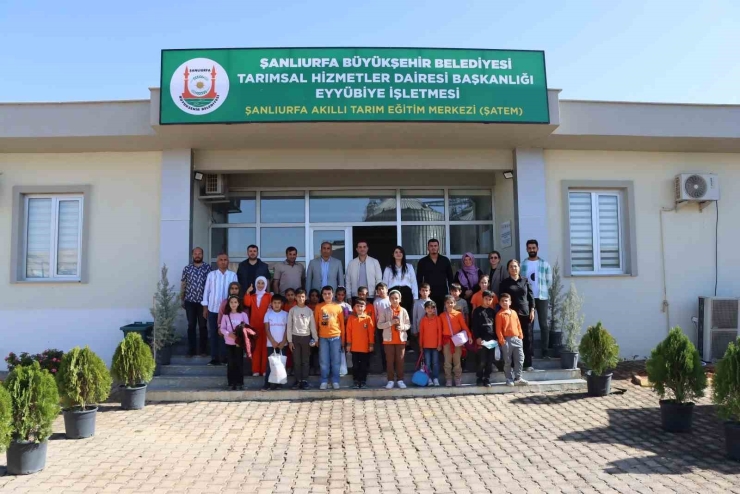 Şanlıurfa’da Öğrenciler Doğa Ve Tarımla Buluşuyor