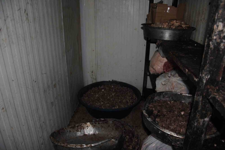 Şanlıurfa’da 1 Ton Kokmuş Ve Bozuk Et Ele Geçirdi
