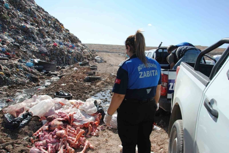 Şanlıurfa’da 1 Ton Kokmuş Ve Bozuk Et Ele Geçirdi