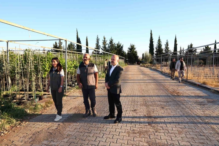 Vali Varol, Orman Fidanlığında İncelemelerde Bulundu