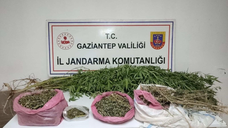 Gaziantep’te Uyuşturucu Operasyonu: 2 Şüpheli Tutuklandı