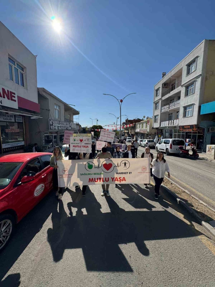 Dicle’de Sağlıkçılardan Dünya Yaşlılar Ve Yürüyüş Günü Etkinliği