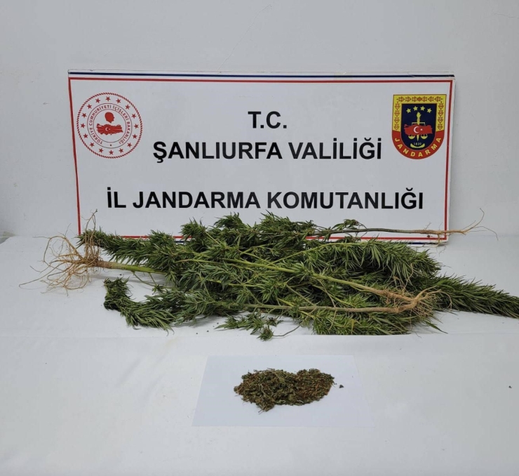 Şanlıurfa’da 91 Adet Uyuşturucu Hap Ele Geçirildi