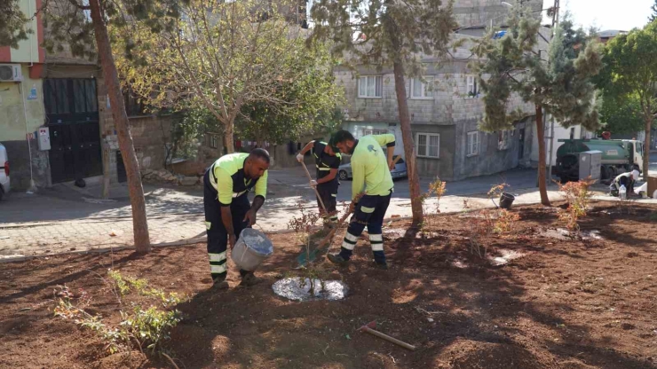 Selimiye Mahallesi Parkı Yenileniyor