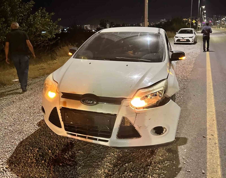 Malatya’da Otomobilin Çarptığı Domuz Telef Oldu