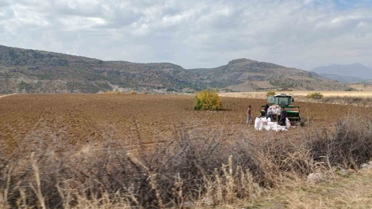 Kulp İlçesinde Çiftçiler Ekim Mesaisine Başladı
