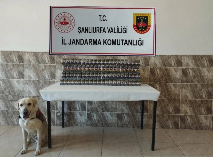 Şanlıurfa’da Kaçakçılara Operasyon
