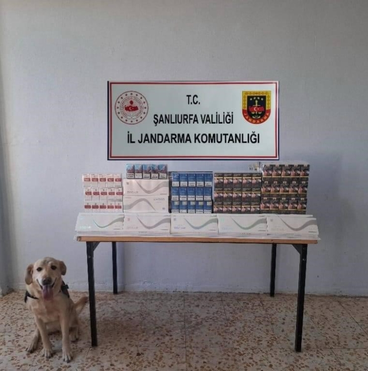Şanlıurfa’da Kaçakçılara Operasyon