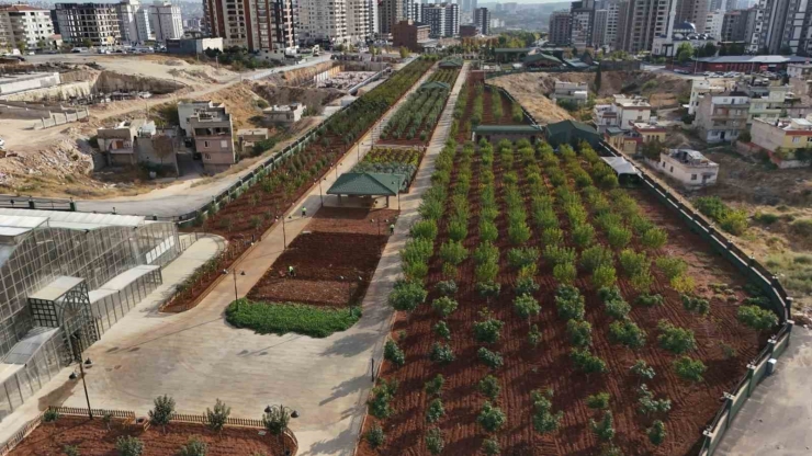 Agro Park Binlerce Ziyaretçiyi Ağırladı