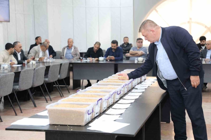 Tarımın Nabzı Gtb’de Attı