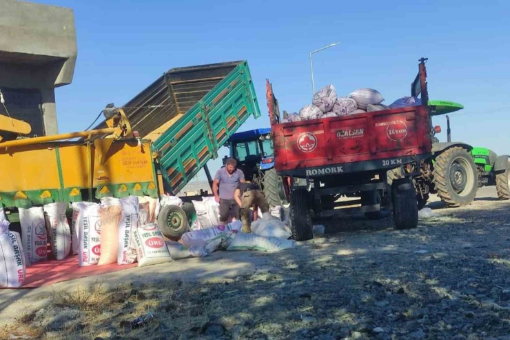 Araban Ovası’nda Makarnalık Ve Baklavalık Sert Buğday Ekimi Hazırlıkları Tamamlandı