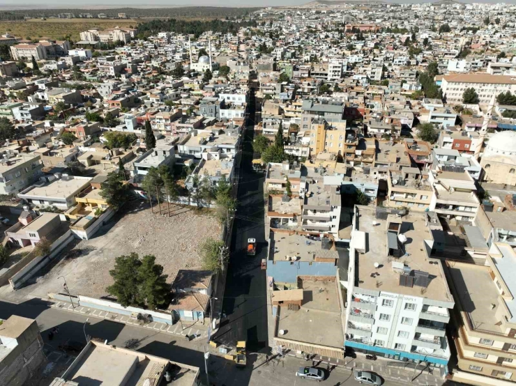 Büyükşehir’den Ceylanpınar’daki Yolda Asfalt Çalışması