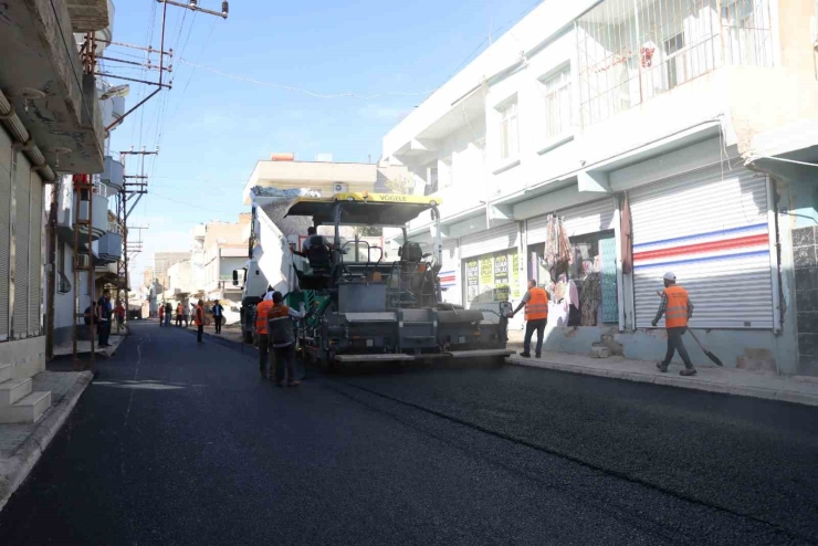 Büyükşehir’den Ceylanpınar’daki Yolda Asfalt Çalışması