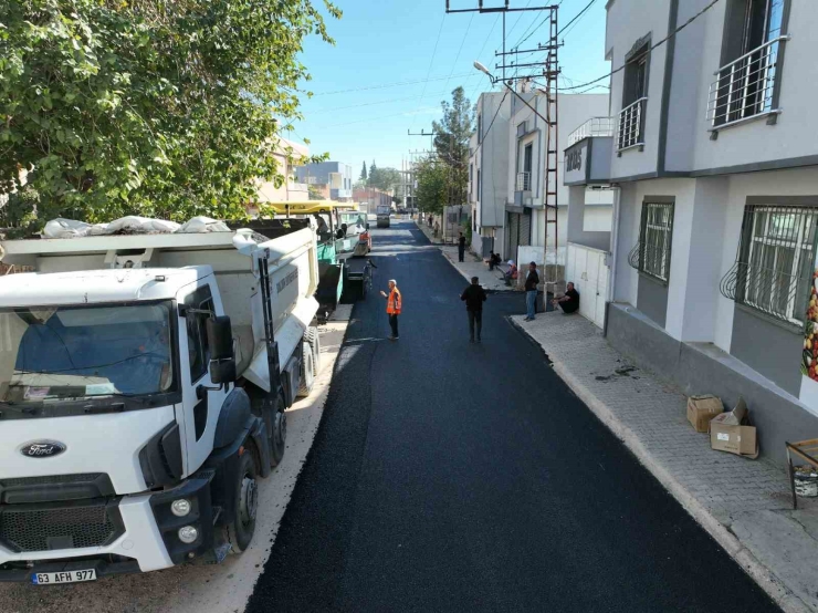 Büyükşehir’den Ceylanpınar’daki Yolda Asfalt Çalışması