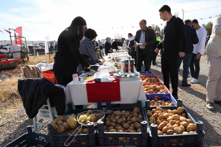 Darende’de Yerli Patates Tohumu Şenliği Düzenlendi