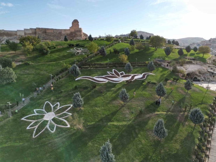 Şanlıurfa’da 400 Bin Çiçek Toprakla Buluşuyor