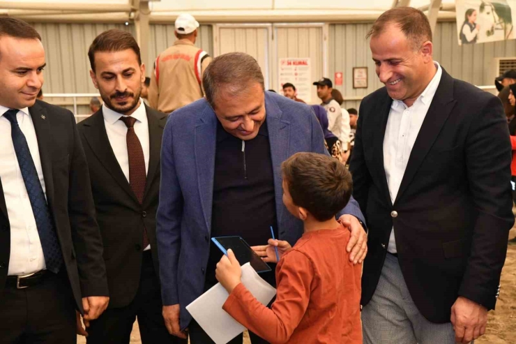 Özel Özel İhtiyaç Sahibi Çocuklara Atla Terapi