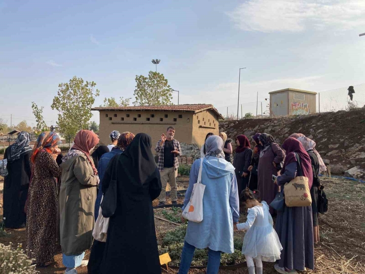 Kadınlar Tıbbi Ve Aromatik Bitkileri Yerinde Tanıyor