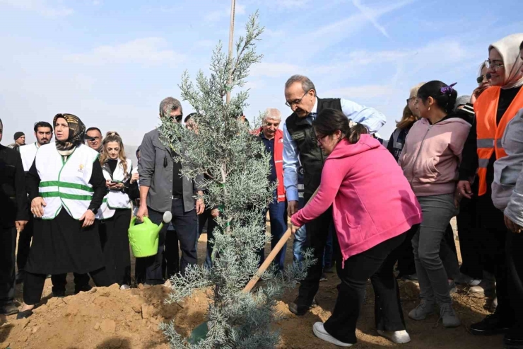 Malatya’da 733 Bin Fidan Toprakla Buluştu
