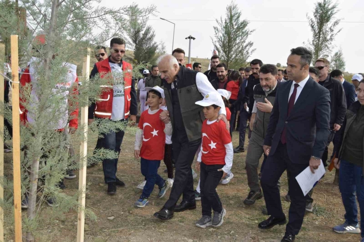 Dicle Gençlik Kampında Milli Ağaçlandırma Gününde Toplu Fidan Dikimi Yapıldı