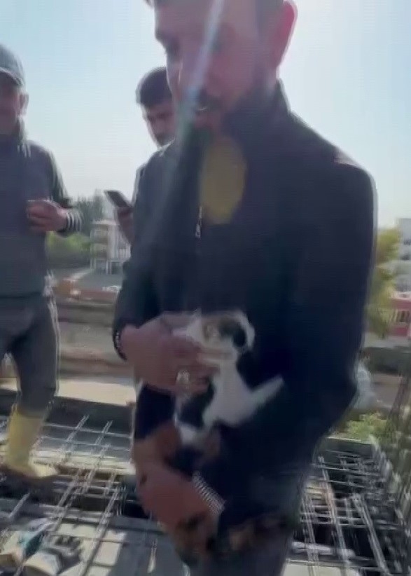 Kedi, Dökülen Betonun Altında Kalmaktan Son Anda Kurtarıldı