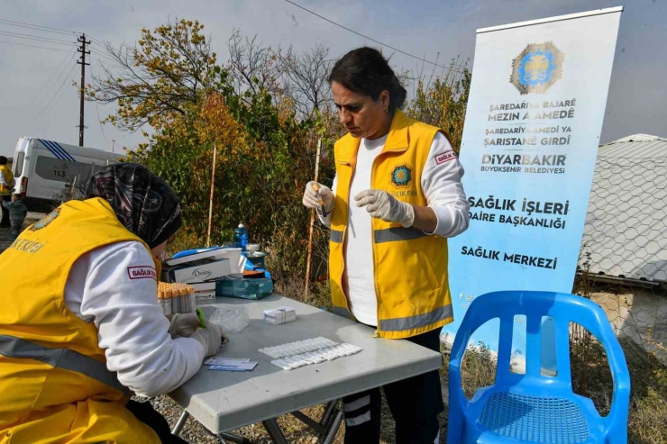 Diyarbakır’da Sağlık Taraması