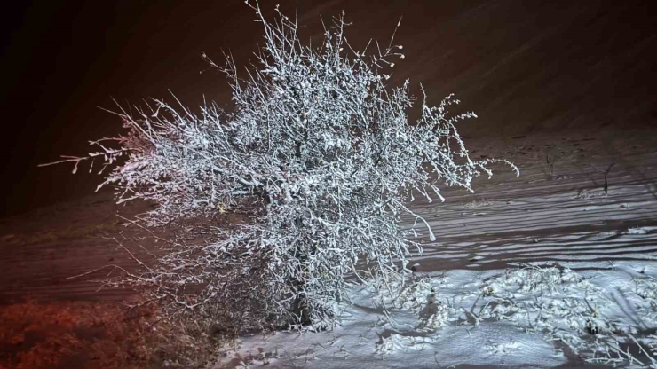Malatya Kırsalında Kar Yağışı Etkili Oluyor
