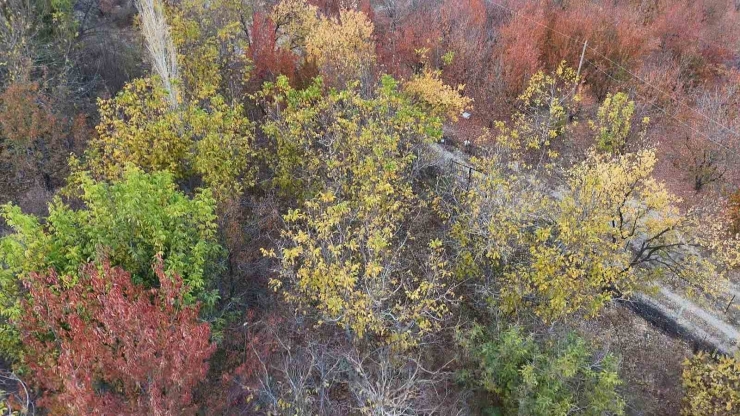 Yeşilyurt’ta Sonbaharda Kartpostallık Görüntüler Ortaya Çıktı