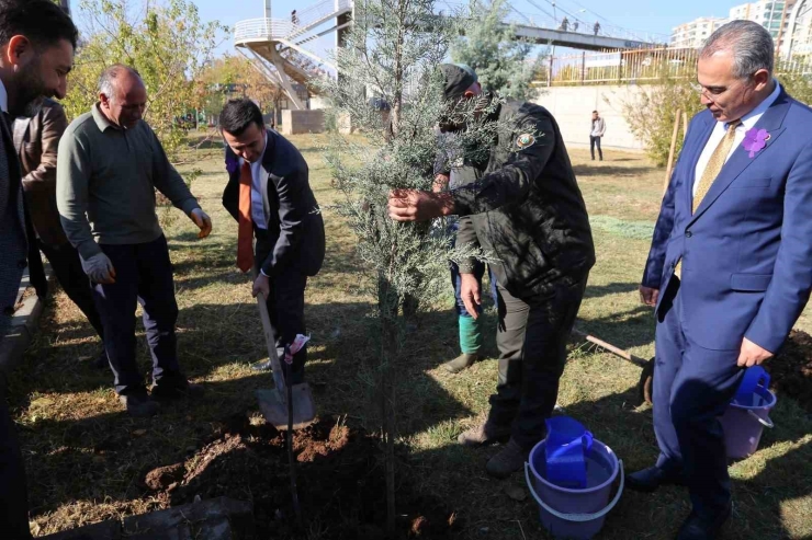 Diyarbakır’da Dünya Prematüre Günü Etkinliği