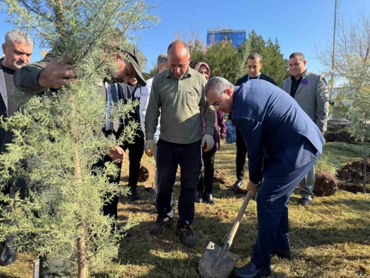 Diyarbakır’da Dünya Prematüre Günü Etkinliği