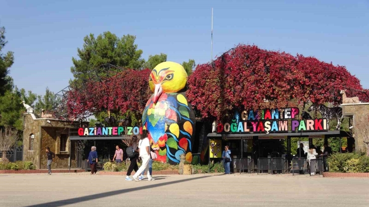 Zürafalar İle Bakıcılarının Dostluğu Şaşırtıyor