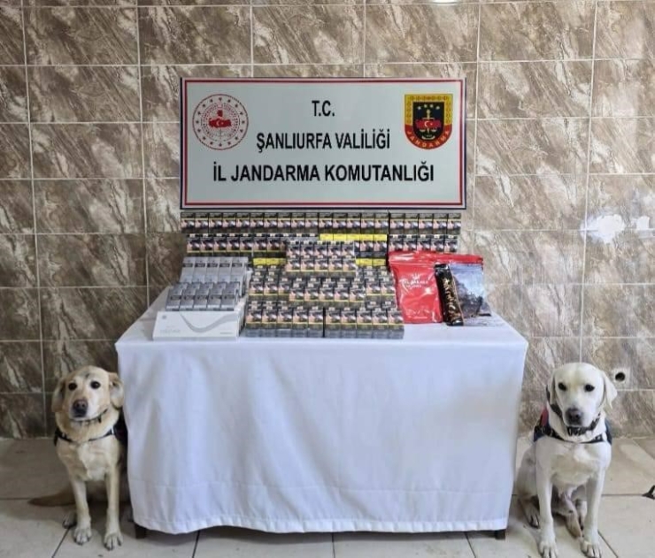 Şanlıurfa’da 5 Bin Paket Kaçak Sigara Ele Geçirildi