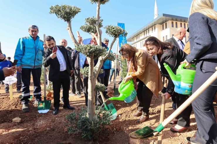 Gaziantep Büyükşehir Yeşilantep Projesiyle Şehrin Yeşil Alanlarını Artırıyor