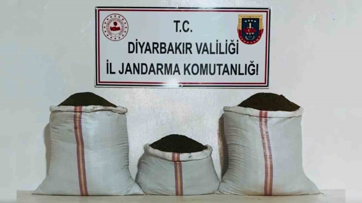 Diyarbakır’da 470 Kilo Skunk Ve 85 Kilo Esrar Ele Geçirildi