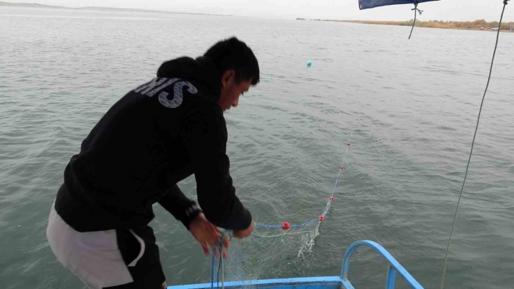Denizi Olmayan Malatya’da Balık İhracatı