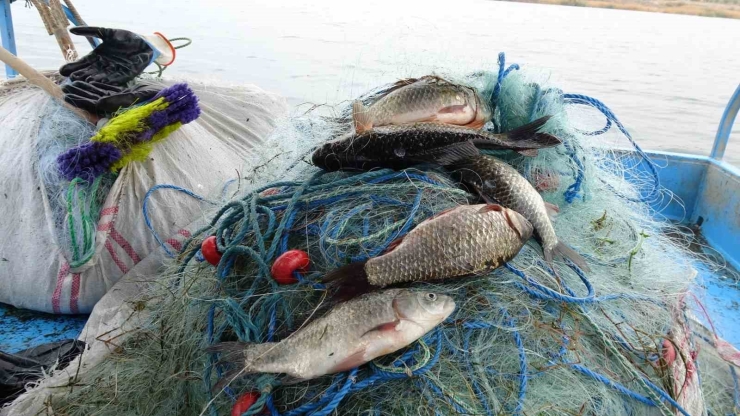 Denizi Olmayan Malatya’da Balık İhracatı