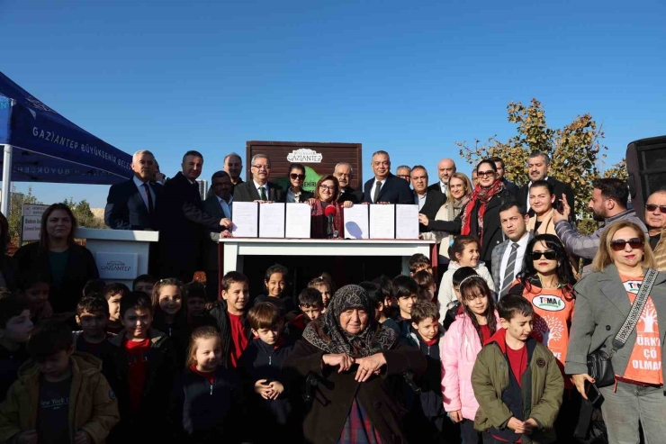 Gaziantep Büyükşehir’in Yeşilantep Projesi İle Şehir Merkezi Ağaçlanıyor