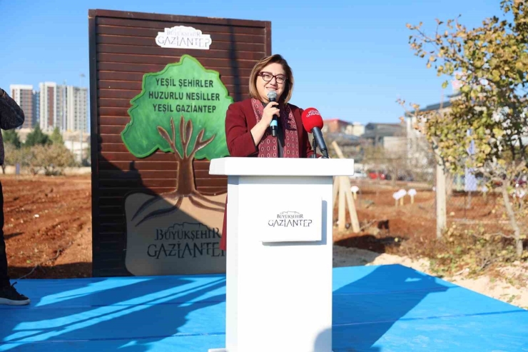 Gaziantep Büyükşehir’in Yeşilantep Projesi İle Şehir Merkezi Ağaçlanıyor