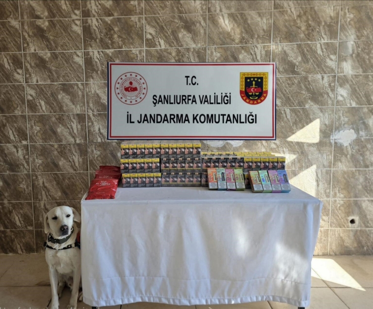 Şanlıurfa’da 3 Bin 800 Paket Kaçak Sigara Ele Geçirildi